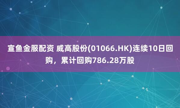 宣鱼金服配资 威高股份(01066.HK)连续10日回购，累计回购786.28万股