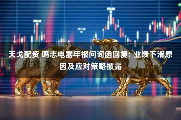 天戈配资 鸣志电器年报问询函回复: 业绩下滑原因及应对策略披露