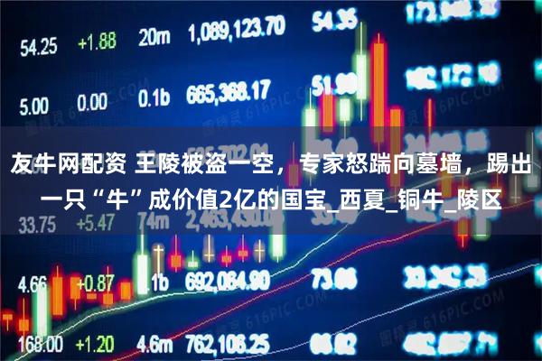 友牛网配资 王陵被盗一空，专家怒踹向墓墙，踢出一只“牛”成价值2亿的国宝_西夏_铜牛_陵区